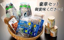 漁協直営！屋久島産&nbsp;とびうお加工品セット