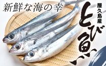 漁協直営！屋久島産&nbsp;とびうお加工品セット