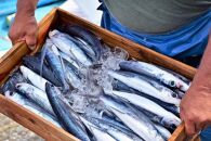 漁協直営！屋久島産&nbsp;とびうお加工品セット