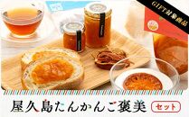 【ギフト用】屋久島たんかんご褒美セット