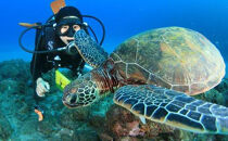 体験ダイビング(１ダイブロングタイム）