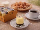 【ギフト用】【数量限定】やくしま地卵冷凍プリン&nbsp;6個セット