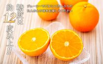 ＜先行予約／数量限定＞屋久島産たんかん&nbsp;約5kg（Mサイズ／約40玉）【2027年2月中旬以降お届け】
