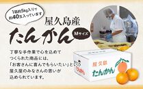 ＜先行予約／数量限定＞屋久島産たんかん&nbsp;約5kg（Mサイズ／約40玉）【2027年2月中旬以降お届け】