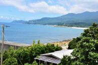 【月間10個限定】屋久島永田の塩&nbsp;えん&nbsp;150g&nbsp;10個セット