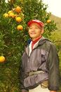 ＜先行予約／数量限定＞屋久島産たんかん&nbsp;約5kg（Lサイズ／約30玉）【2027年2月中旬以降お届け】