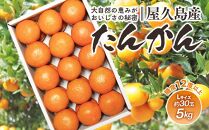＜先行予約／数量限定＞屋久島産たんかん&nbsp;約5kg（Lサイズ／約30玉）【2027年2月中旬以降お届け】