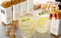 屋久島ジンジャーシロップ&nbsp;小(120ml)×6本セット