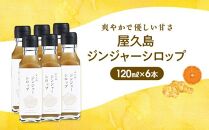 屋久島ジンジャーシロップ&nbsp;小(120ml)×6本セット