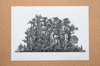 A4判アートプリント&nbsp;屋久島シリーズ&nbsp;5種類セット