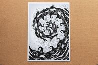 A4判アートプリント&nbsp;屋久島シリーズ&nbsp;5種類セット