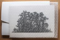 A4判アートプリント&nbsp;屋久島シリーズ&nbsp;5種類セット