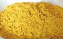 屋久島の恵&nbsp;ターメリック&nbsp;30g×1袋（粉末タイプ）