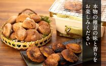 希少・原木栽培！屋久島産・新鮮採りたて生椎茸&nbsp;1kg&nbsp;(200g×5袋)