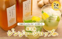 屋久島ジンジャーシロップ&nbsp;特大(500ml)×2本セット