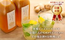 屋久島ジンジャーシロップ&nbsp;特大(500ml)×2本セット