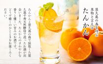 【屋久島限定】屋久島たんかん酒500ml×3本＜本坊酒造&nbsp;屋久島伝承蔵＞