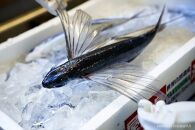 焼きあごだし塩&nbsp;3本【無添加・屋久島産トビウオ使用】