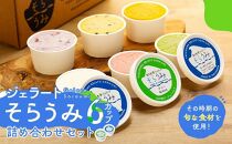 手作り&nbsp;ジェラート&nbsp;6カップ&nbsp;詰め合わせ&nbsp;セット＜屋久島産の新鮮食材を使用＞