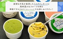 手作り&nbsp;ジェラート&nbsp;6カップ&nbsp;詰め合わせ&nbsp;セット＜屋久島産の新鮮食材を使用＞
