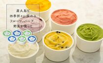 手作り&nbsp;ジェラート&nbsp;6カップ&nbsp;詰め合わせ&nbsp;セット＜屋久島産の新鮮食材を使用＞