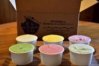 手作り&nbsp;ジェラート&nbsp;6カップ&nbsp;詰め合わせ&nbsp;セット＜屋久島産の新鮮食材を使用＞