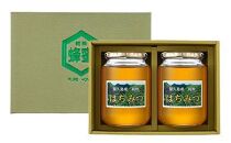 【2026年春採れ先行予約】屋久島産純粋はちみつ&nbsp;1kg&nbsp;2本詰め&nbsp;計2kg