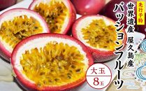 【2026年発送先行受付】絶品パッションフルーツ大玉（8玉）“屋久島の恵み”と“愛情”込めて！