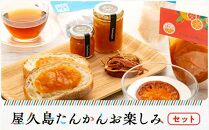 屋久島たんかんお楽しみセット