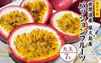 【2026年発送先行受付】絶品パッションフルーツ大玉（7玉）“屋久島の恵み”と“愛情”込めて！