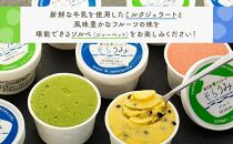 手作り&nbsp;ジェラート&nbsp;12カップ&nbsp;詰め合わせ&nbsp;セット＜屋久島産の新鮮食材を使用＞