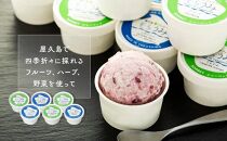 手作り&nbsp;ジェラート&nbsp;12カップ&nbsp;詰め合わせ&nbsp;セット＜屋久島産の新鮮食材を使用＞