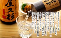 屋久島芋焼酎飲み比べ2本セット（原酒屋久杉720ml&nbsp;化粧箱入り・屋久杉1,800ml）＜本坊酒造&nbsp;屋久島伝承蔵＞