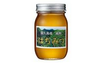 【2026年春採れ先行予約】屋久島産純粋はちみつ&nbsp;600g&nbsp;2本詰め&nbsp;計1.2kg