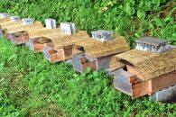 【2026年春採れ先行予約】屋久島産純粋はちみつ&nbsp;600g&nbsp;2本詰め&nbsp;計1.2kg