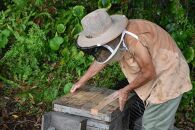 【2026年春採れ先行予約】屋久島産純粋はちみつ&nbsp;600g&nbsp;2本詰め&nbsp;計1.2kg