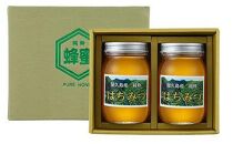 【2026年春採れ先行予約】屋久島産純粋はちみつ&nbsp;600g&nbsp;2本詰め&nbsp;計1.2kg