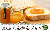 屋久島たんかんジャム３個セット