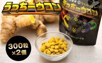 うっちーウコン粒&nbsp;300粒&nbsp;2個セット