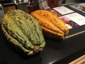 屋久島でする、はじめての&nbsp;『ピュアチョコレート制作体験』&nbsp;ワークショップ受講券