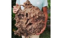 屋久杉Initialイニシャルキーホルダー　”A”