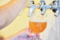 屋久島・地ビール&nbsp;Catch&nbsp;the&nbsp;Beerおまかせビール3種6本セット