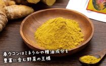 屋久島産&nbsp;春ウコン粉末&nbsp;100g&nbsp;2個セット
