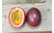 【2026年発送先行受付】絶品パッションフルーツ2L玉（14玉）“屋久島の恵み”と“愛情”込めて！【パッションフルーツ&nbsp;パッション&nbsp;フルーツ&nbsp;果物&nbsp;くだもの&nbsp;お取り寄せ&nbsp;期間限定&nbsp;数量限定&nbsp;人気&nbsp;おすすめ&nbsp;鹿児島県&nbsp;屋久島町&nbsp;NP18】