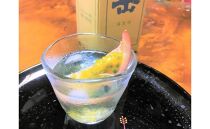 【2026年発送先行受付】絶品パッションフルーツ2L玉（14玉）“屋久島の恵み”と“愛情”込めて！【パッションフルーツ&nbsp;パッション&nbsp;フルーツ&nbsp;果物&nbsp;くだもの&nbsp;お取り寄せ&nbsp;期間限定&nbsp;数量限定&nbsp;人気&nbsp;おすすめ&nbsp;鹿児島県&nbsp;屋久島町&nbsp;NP18】