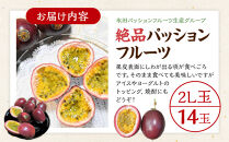 【2027年発送先行受付】絶品パッションフルーツ2L玉（14玉）“屋久島の恵み”と“愛情”込めて！【パッションフルーツ&nbsp;パッション&nbsp;フルーツ&nbsp;果物&nbsp;くだもの&nbsp;お取り寄せ&nbsp;期間限定&nbsp;数量限定&nbsp;人気&nbsp;おすすめ&nbsp;鹿児島県&nbsp;屋久島町&nbsp;NP18】