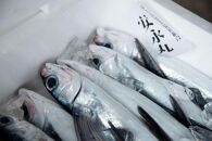 飛魚香草パン粉焼き&nbsp;3枚入×6袋【生産者直営！！屋久島の港町から安永丸がお届け】