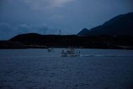 飛魚漬け&nbsp;3食・飛魚香草パン粉焼き&nbsp;3枚入り×3袋【生産者直営！！屋久島の港町から安永丸の人気商品をお届け】