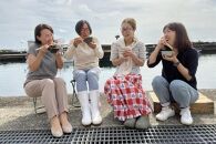 とびっきり、とび飯。【屋久島トビウオ漬け丼の素】4食セット