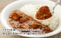 屋久島産トビウオ・たんかん100％！高円寺人気カレー店スパイスカレー青藍監修【屋久島海と森のカレー】3点セット